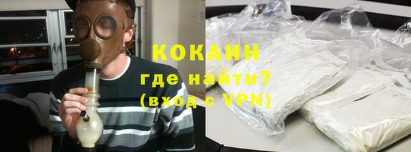 стаф Кодинск