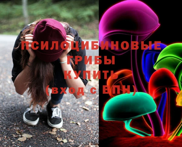 гидра Коряжма