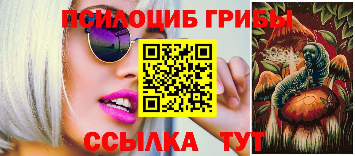 Галлюциногенные грибы Psilocybine cubensis Липецк